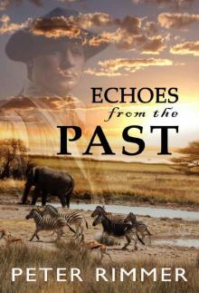 Echoes from the Past (The Brigandshaw Chronicles Book 1) Read online