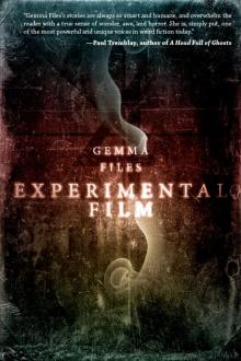 Experimental Film Read online