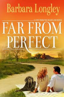 Far from Perfect (Perfect, Indiana: Book One) Read online