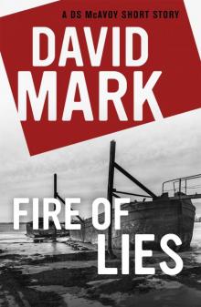 Fire of Lies Read online