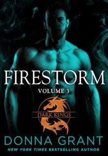 Firestorm: Volume 3 Read online