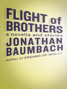 Flight of Brothers Read online