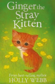 Ginger the Stray Kitten Read online