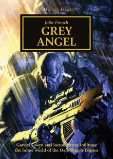 Grey Angel Read online
