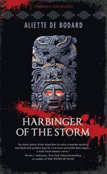 Harbinger of the Storm Read online