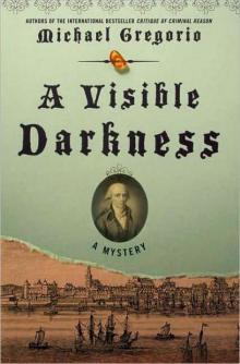 HS03 - A Visible Darkness Read online