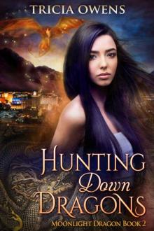 Hunting Down Dragons (Moonlight Dragon #2) Read online
