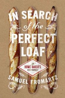 In Search of the Perfect Loaf: A Home Baker's Odyssey Read online