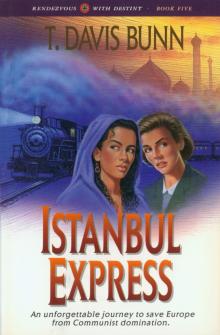 Istanbul Express Read online