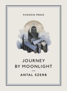 Journey by Moonlight Read online
