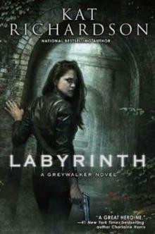 Labyrinth g-5 Read online