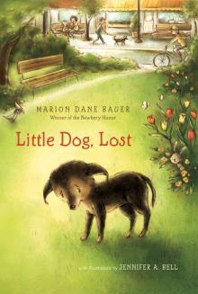 Little Dog, Lost Read online