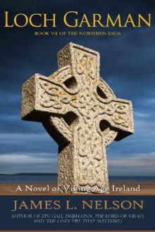 Loch Garman: A Novel of Viking Age Ireland (The Norsemen Saga Book 7) Read online