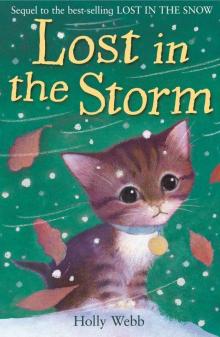 Lost in the Storm Read online