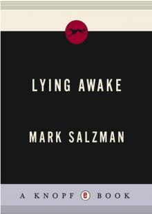 Lying Awake Read online