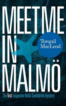 Meet me in Malmö: The first Inspector Anita Sundström mystery (Inspector Anita Sundström mysteries) Read online