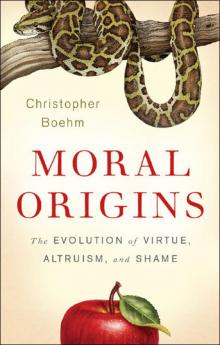 Moral Origins