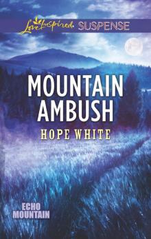 Mountain Ambush Read online