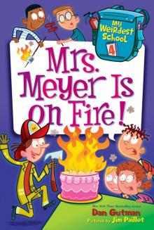 Mrs. Meyer Is on Fire! Read online