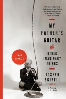 My Father’s Guitar & Other Imaginary Things: True Stories Read online