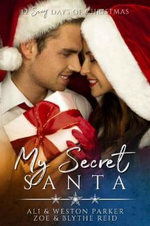 My Secret Santa: A Sexy Bad Boy Holiday Novel (The Parker's 12 Days of Christmas Book 3) Read online