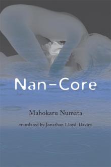 Nan-Core