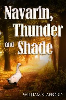 Navarin, Thunder and Shade Read online