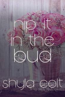 Nip it in the Bud (Bunch-A-Blooms) Read online