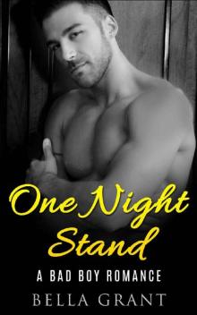 ONE NIGHT STAND (A Billionaire Bad Boy Romance) Read online