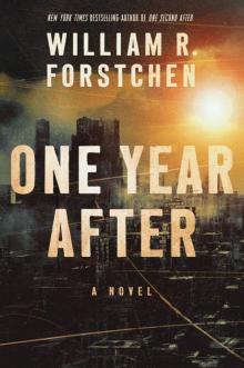 One Year After: A Novel Read online