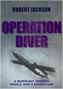 Operation Diver Read online