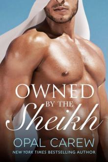 Owned by the Sheikh: An Erotic Romance Collection Read online