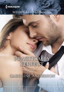 Practically Perfect Read online