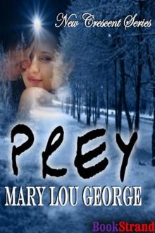 Prey (BookStrand Publishing Romance) Read online