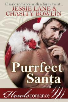 Purrfect Santa_Howls Romance