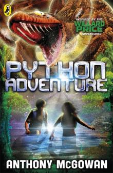 Python Adventure Read online