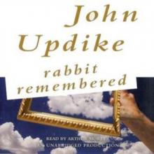 Rabbit Remembered Read online