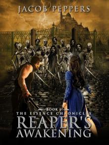 Reaper's Awakening Read online
