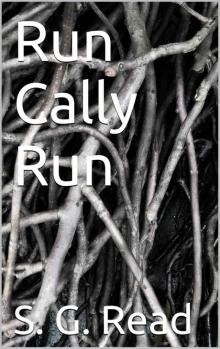 Run Cally Run Read online