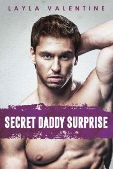 Secret Daddy Surprise - A Secret Baby Romance (Once a SEAL, Always a SEAL Book 4) Read online