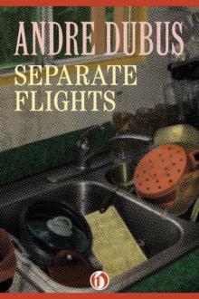 Separate Flights Read online