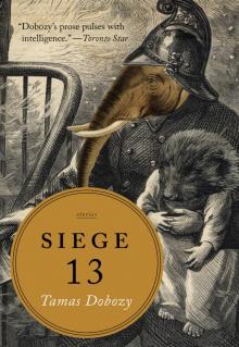 Siege 13 Read online