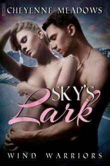 Sky's Lark Read online
