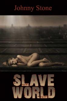 Slave World