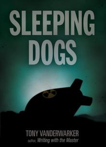 Sleeping Dogs