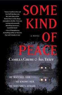 Some Kind of Peace: A Novel Read online