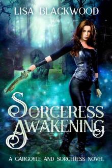 Sorceress Awakening Read online