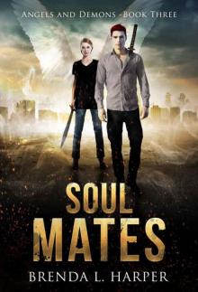 SOUL MATES (Angels and Demons Book 3) Read online
