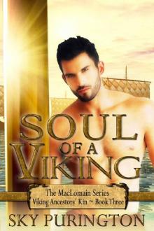 Soul of a Viking (The MacLomain Series: Viking Ancestors' Kin Book 3) Read online