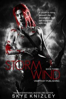 Stormwind (The Storm Chronicles Book 3) Read online